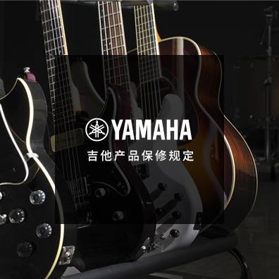 吉他、贝斯和音箱