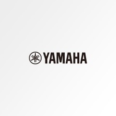 大红鹰dhy管弦打乐器产品调价通知